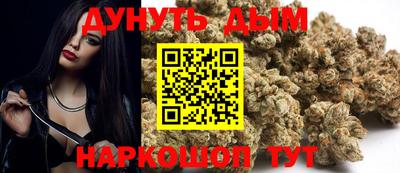 крисы Кулебаки