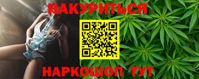 крисы Кулебаки