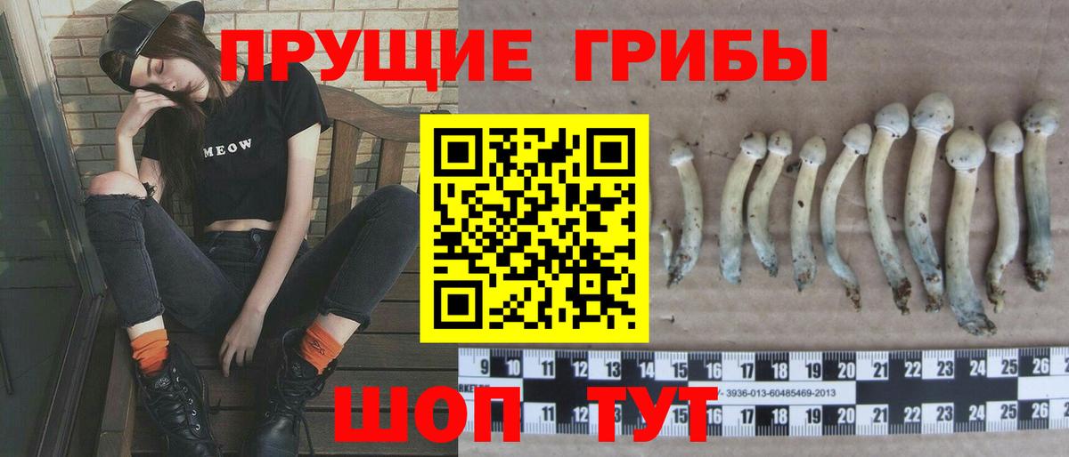 Галлюциногенные грибы GOLDEN TEACHER Камышлов