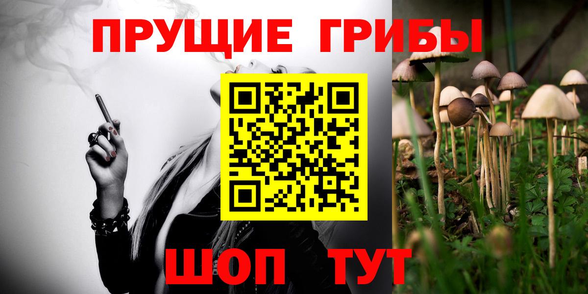 Галлюциногенные грибы прущие грибы  Вход с VPN  Галлюциногенные грибы Psilocybine cubensis  Камышлов 